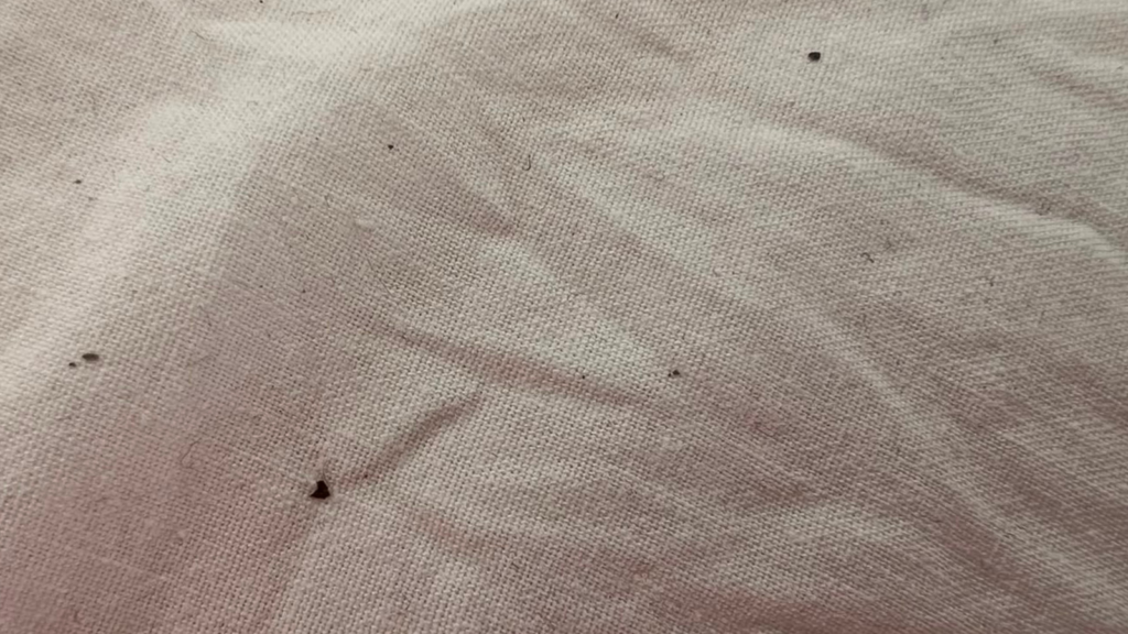 Pequeñas manchas negras en ropa de cama que pueden ser compatibles con excrementos de chinches.